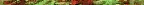 leaf-color horizontal rule